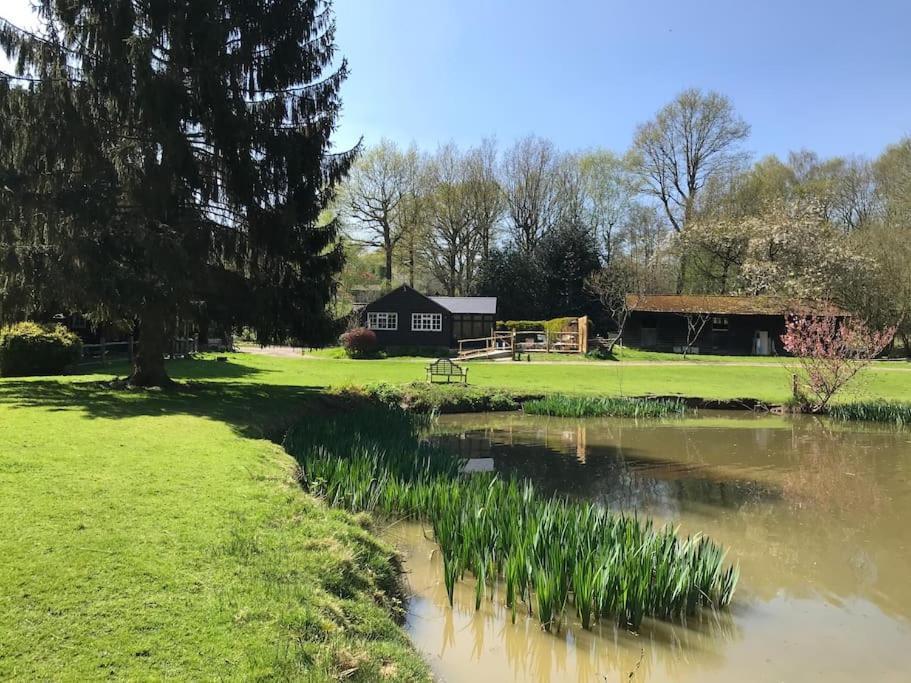 Halfmoon Lodge @ Knights Hole Wheelchair Access Cranbrook Exteriör bild